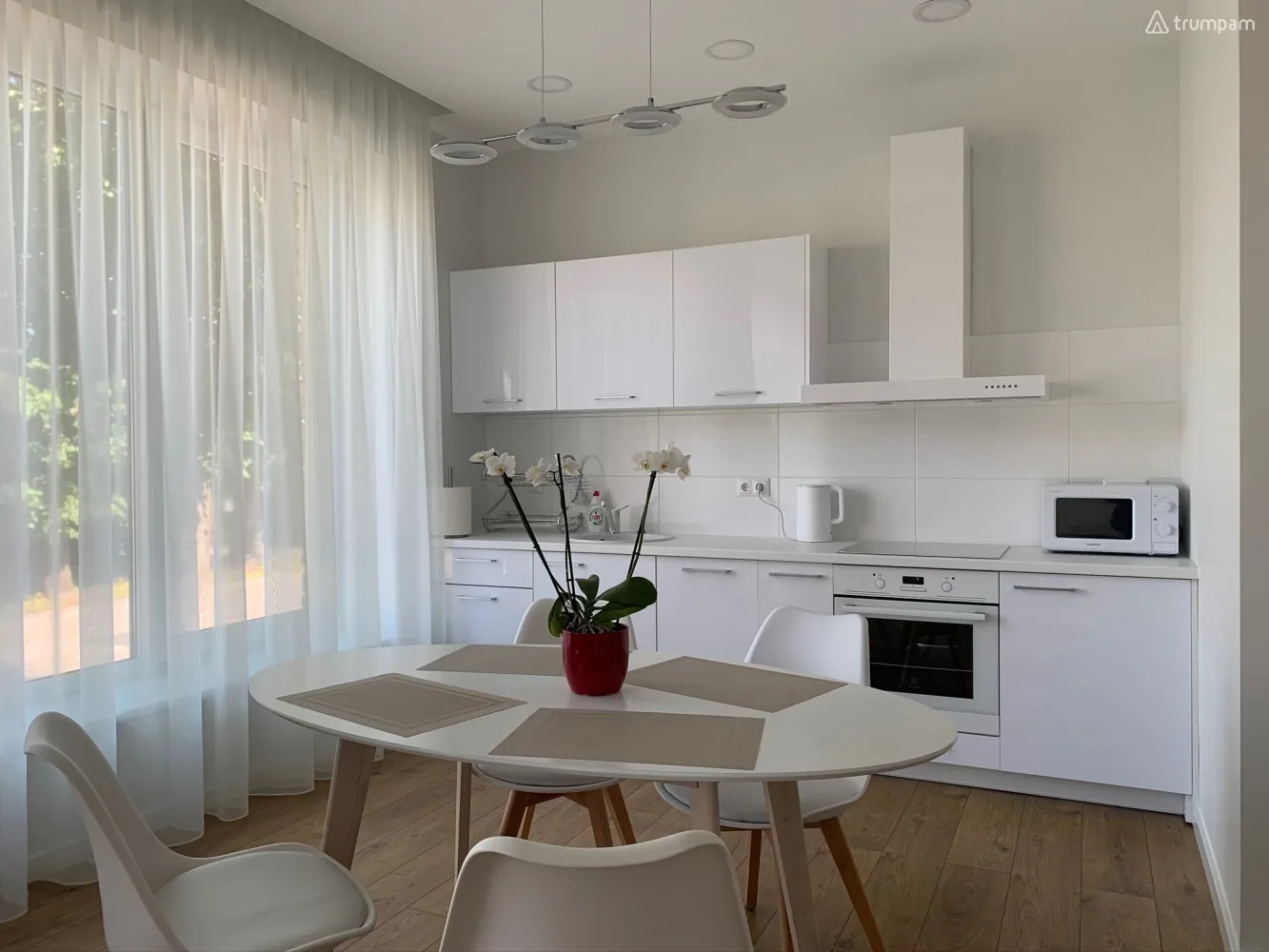 Spacious studio apartment for two in Zaliakalnis