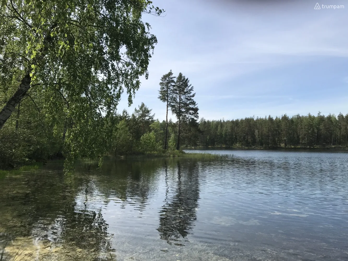 Ramybės kampelis dviems Labanoro girioje ant ežero kranto