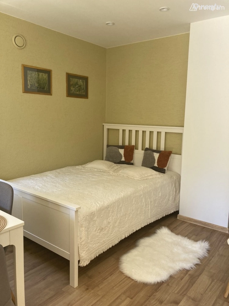 Nice apartment for rent in Palanga