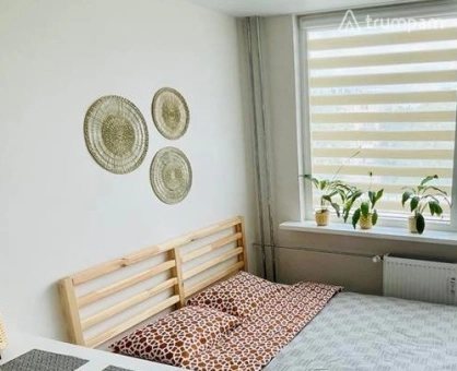 Skelbimo nuotrauka 2 iš 16