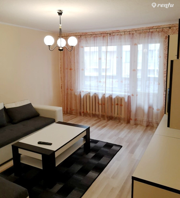 Однокомнатная квартира в Друскининкай