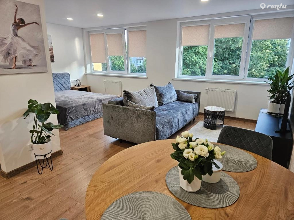 Просторная студия в центре Клайпеды