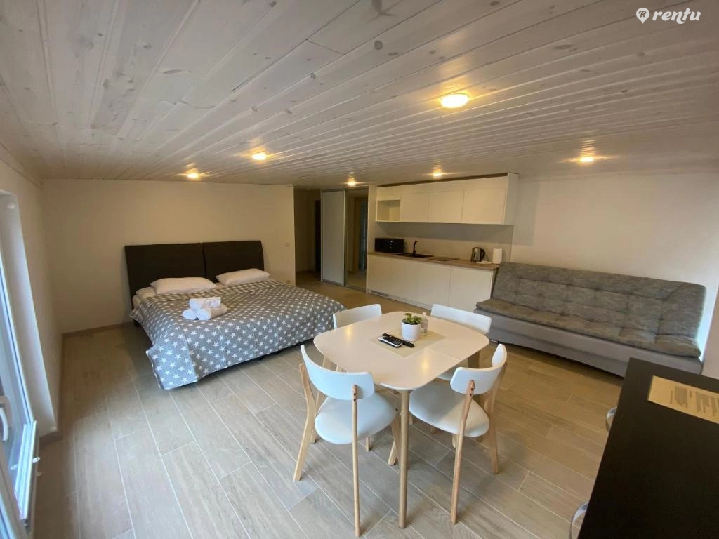 Attic studio apartment -  EGITOS apartamentai