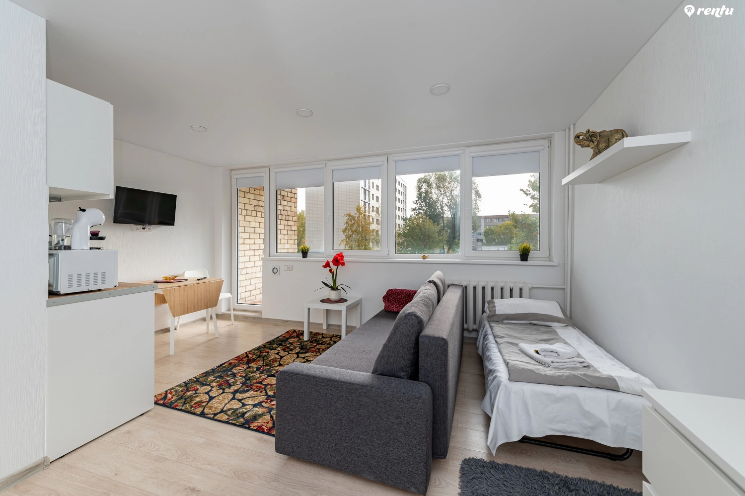 Pramonės apartment with balcony #12