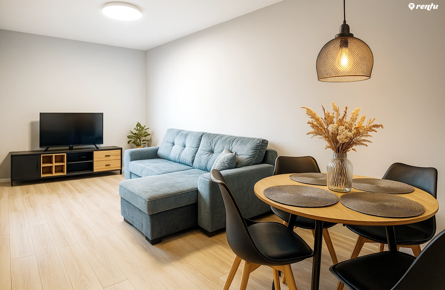 1 room apartment in the center