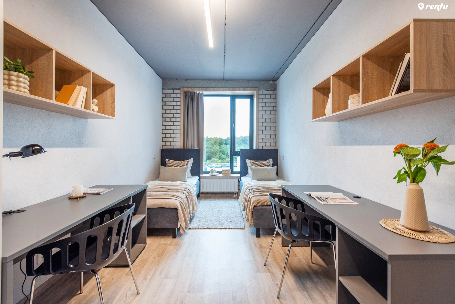 SHED Co-living – Twin studio room with shared spaces