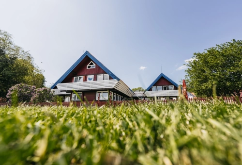 Skelbimo nuotrauka 4 iš 8