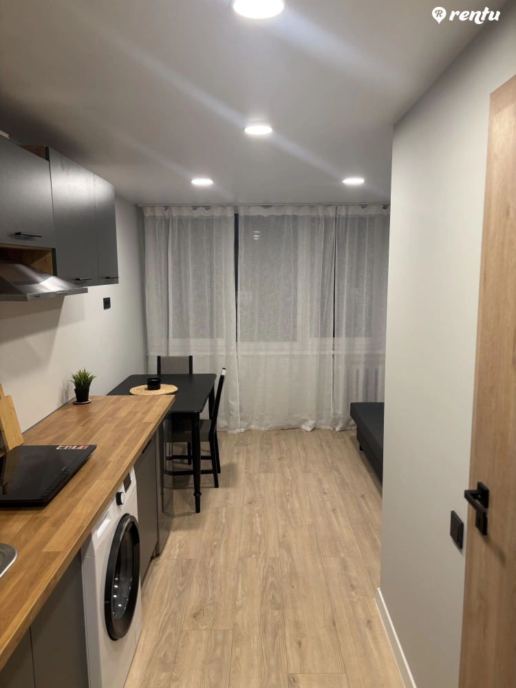 Buto nuoma Vilniuje Antakalnyje