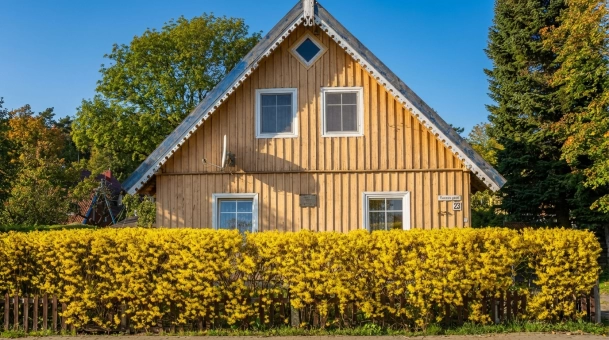 Skelbimo nuotrauka 4 iš 9