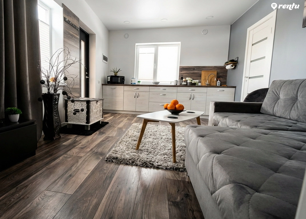 Однокомнатная квартира в Рокишкисе