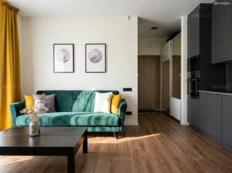 Skelbimo nuotrauka 3 iš 17