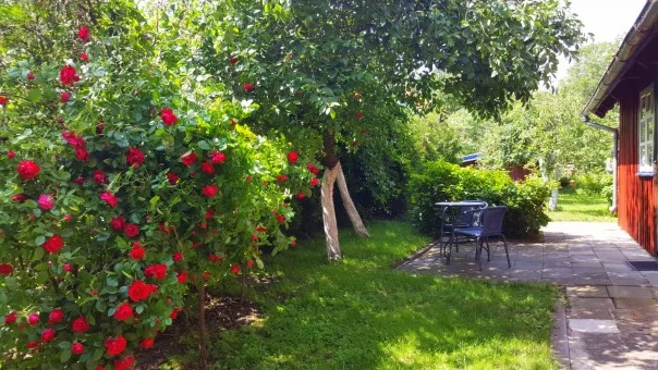 Skelbimo nuotrauka 4 iš 20